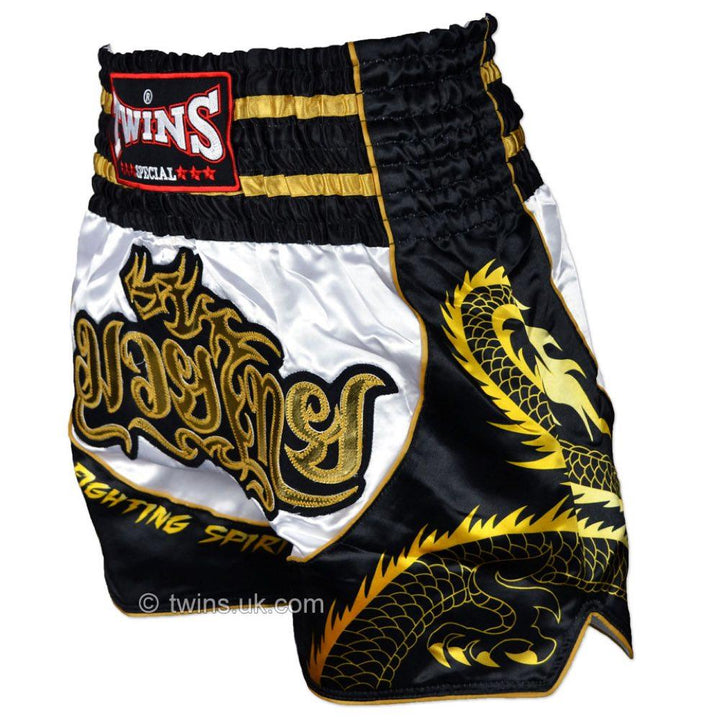 Twins Dragon Muay Thai Shorts-Twins