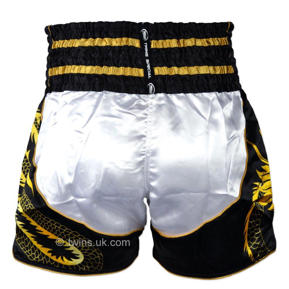 Twins Dragon Muay Thai Shorts-Twins